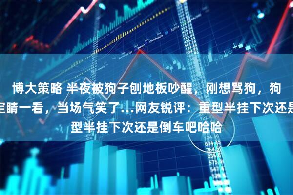 博大策略 半夜被狗子刨地板吵醒，刚想骂狗，狗居然没躲？定睛一看，当场气笑了…网友锐评：重型半挂下次还是倒车吧哈哈