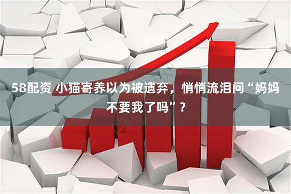 58配资 小猫寄养以为被遗弃，悄悄流泪问“妈妈不要我了吗”？