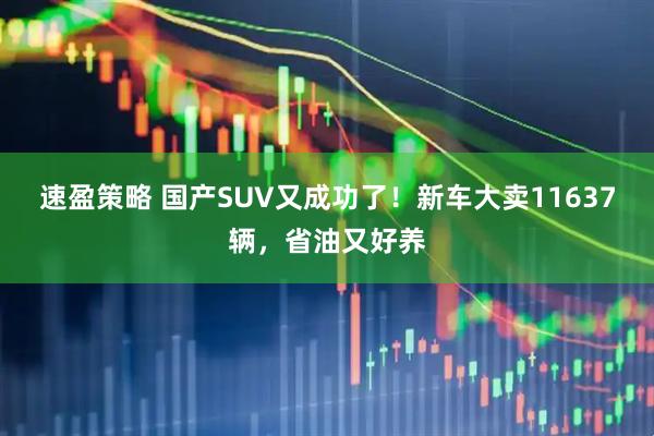 速盈策略 国产SUV又成功了！新车大卖11637辆，省油又好养