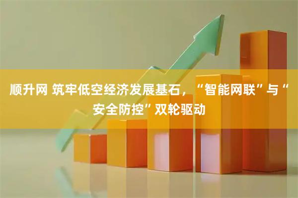 顺升网 筑牢低空经济发展基石，“智能网联”与“安全防控”双轮驱动
