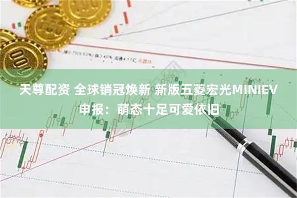 天尊配资 全球销冠焕新 新版五菱宏光MINIEV申报：萌态十足可爱依旧