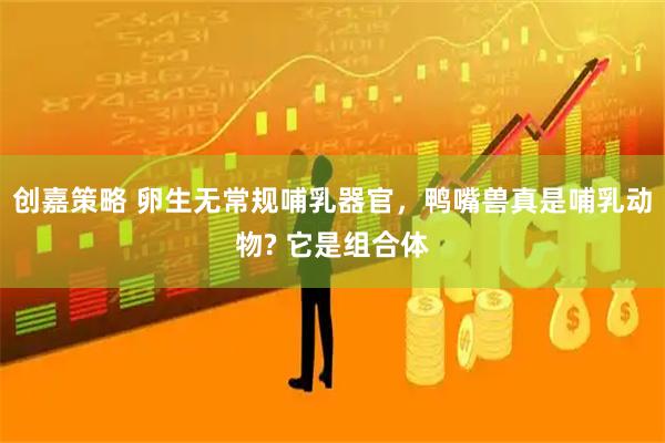 创嘉策略 卵生无常规哺乳器官，鸭嘴兽真是哺乳动物? 它是组合体